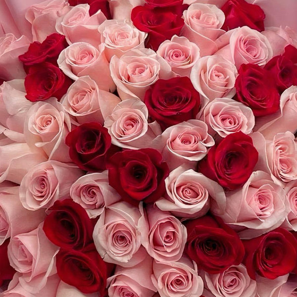 Rosy Elegance